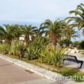pista-ciclabile-tra-San-Benedetto-e-Porto-D-Ascoli