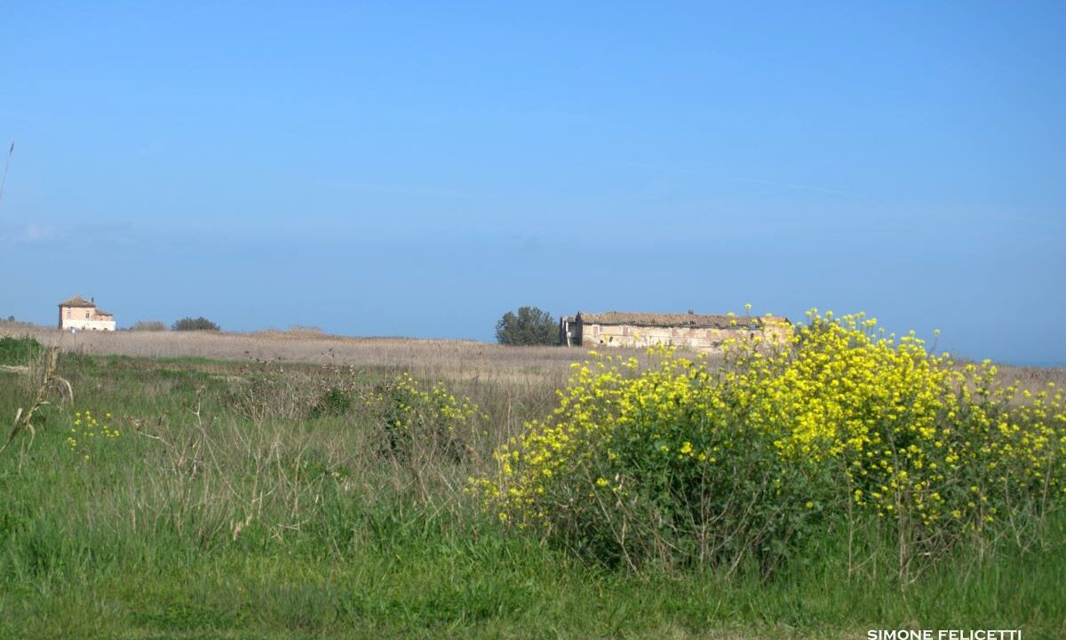 riserva naturale sentina di simone felicetti