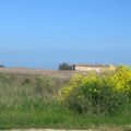 riserva-naturale-sentina-di-simone-felicetti2